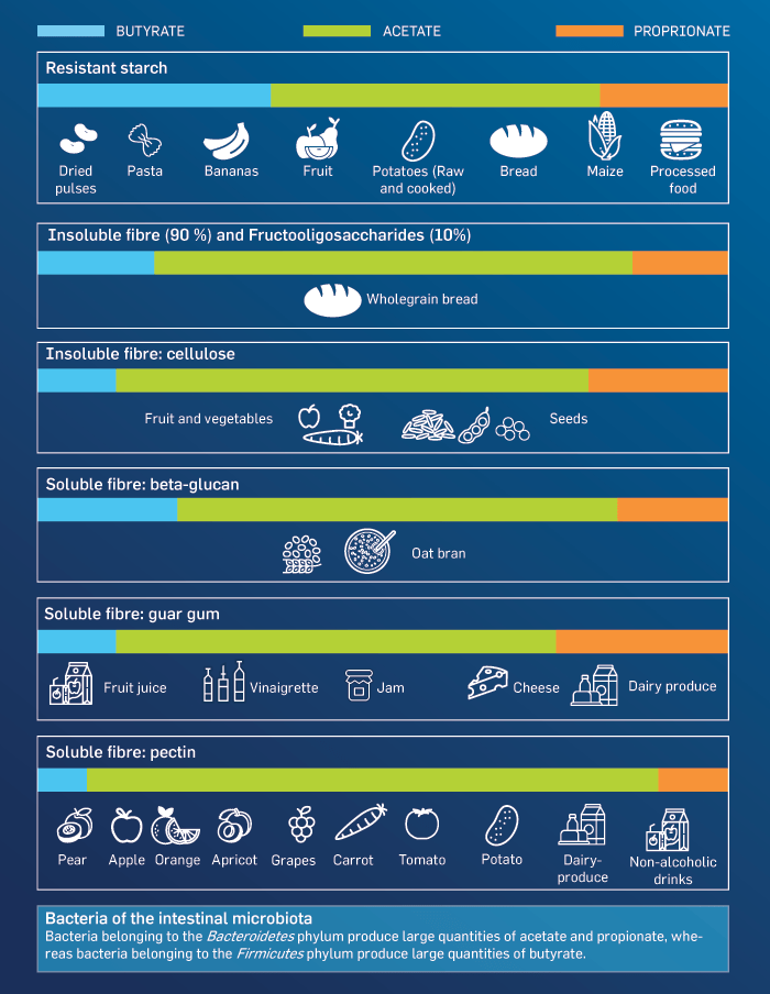 balance intestinal microbiota
