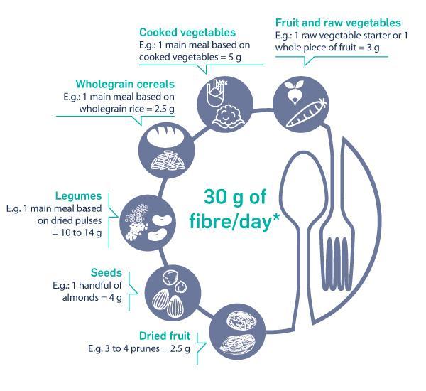 obtain 30g of fibre a day