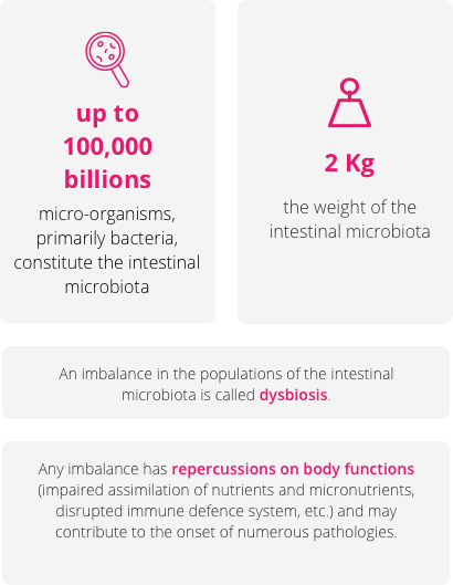 microbiota key figures microbiota key figures