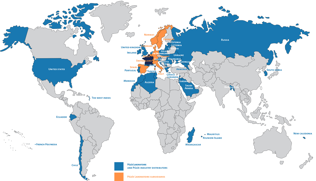 Pileje Worldwide COM