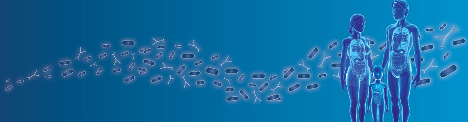 Visuel expertise Microbiotes Visuel expertise Microbiotes