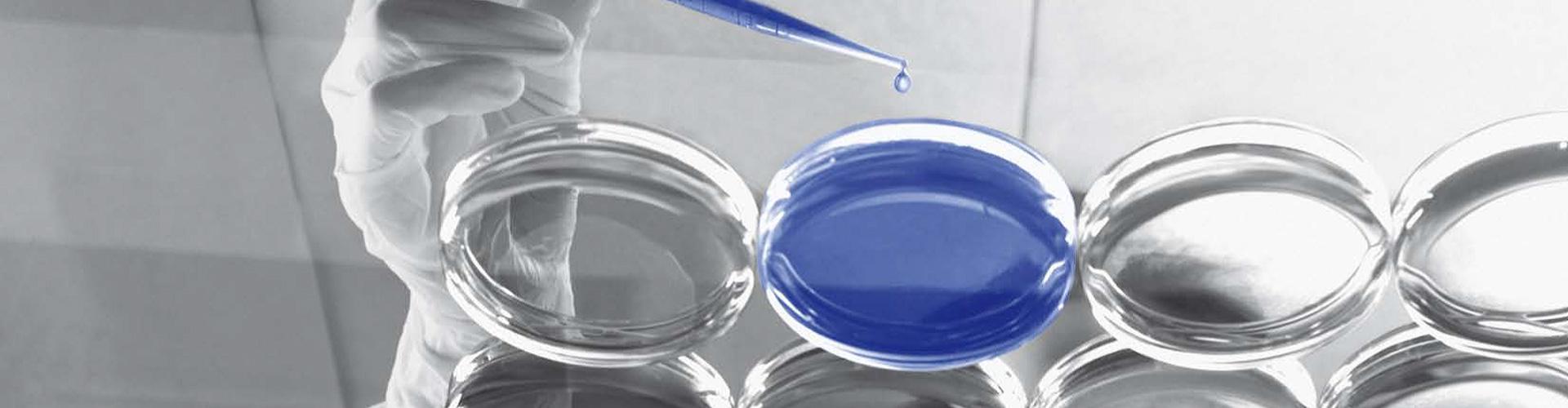 Visuel bandeau présentation Groupe PiLeJe