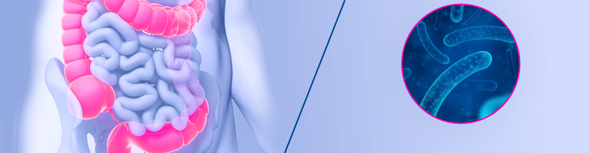 Rôle immunité microbiote