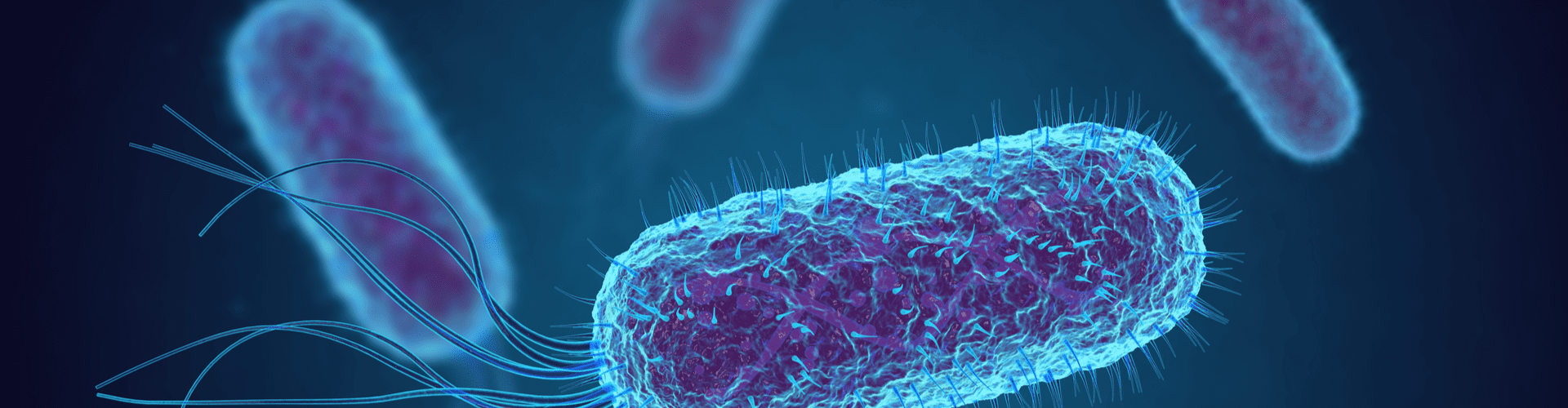 Comprendre les infections urinaires