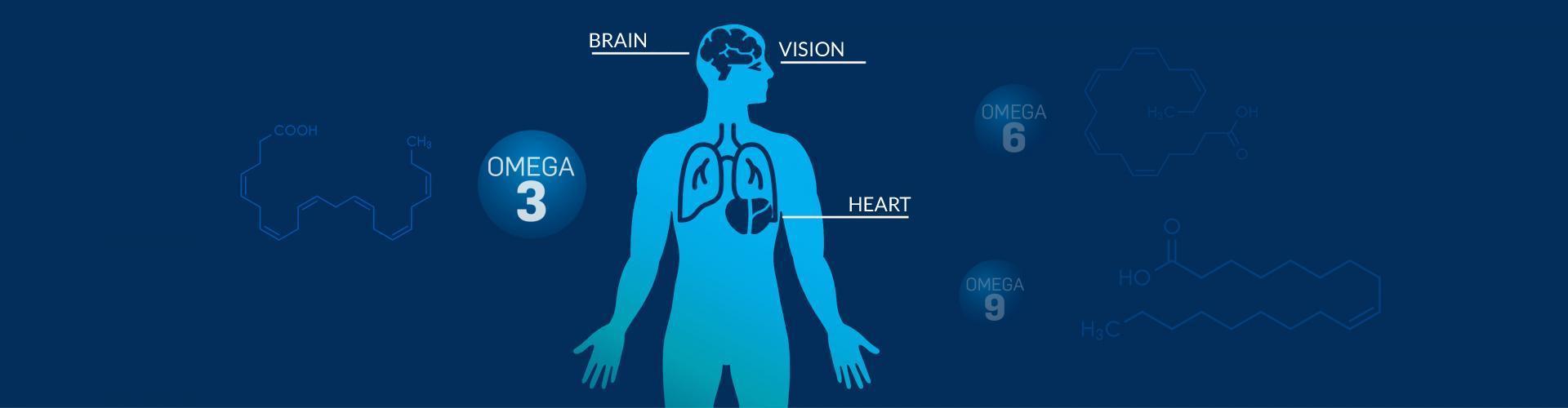 specific role omega-3 and omega-6