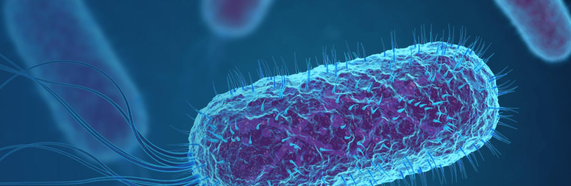 Understanding urinary tract infections SLIDER COM