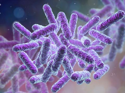 Vignette - Probiotiques : comment bien les choisir ? 