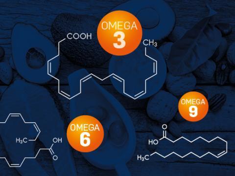 Vignette - omega 3-6-9