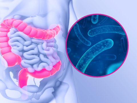 Vignette_immunite_role
