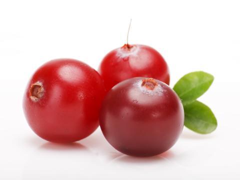 vignette cranberry