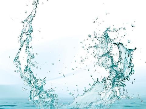 vignette quiz magnesium