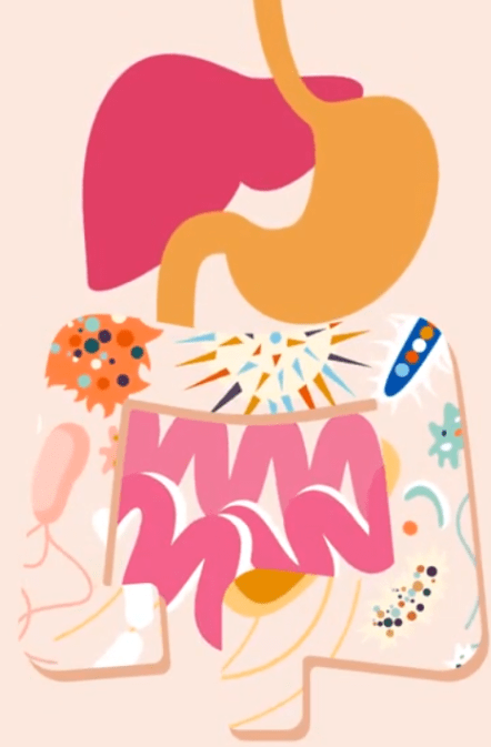 vignette révolution microbiote