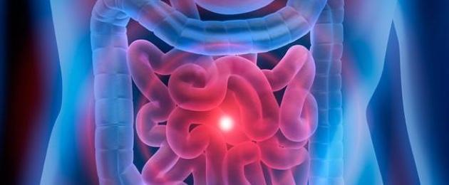 Microbiote intestinal Microbiote intestinal
