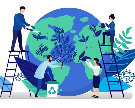 Visuel environnement