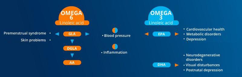 specific role of omega-3 and omega-6 DHA and EPA