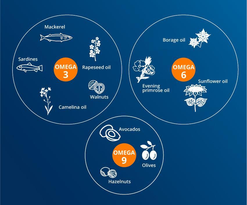 which aliments are rich in Omega-3, omega-6, omega-9 ?