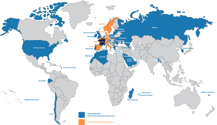 Pileje Worldwide map