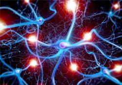 Visuel communication intercellulaire