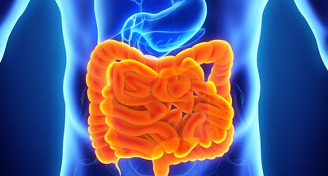 Visuel Inflammation et dysbiose