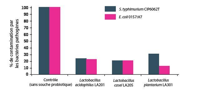 Visuel figure 1 Figure 1