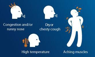 Flu, cold, sore throat, bronchitis...Treat winter-season infections with plants