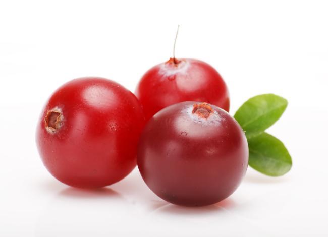 vignette cranberry