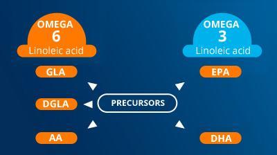omega-3-and-omega-6