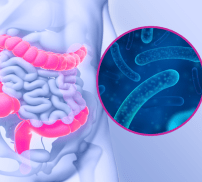 Vignette_immunité_rôle