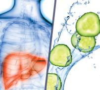 detoxification vignette