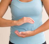 digestive system vignette