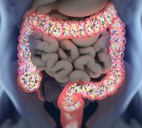 The importance of fibre for a healthy microbiota