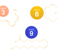 vignette fatty acids