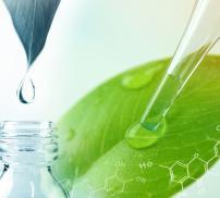 vignette infections hivernales