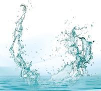 vignette quiz magnesium